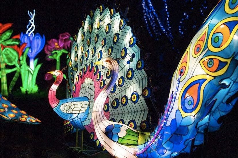 10 Great Light Art Festivals Around The World - 
