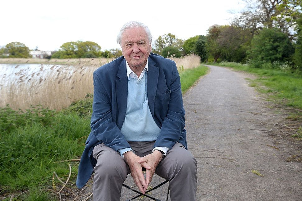Watch the first trailer for David Attenborough’s new BBC nature documentary