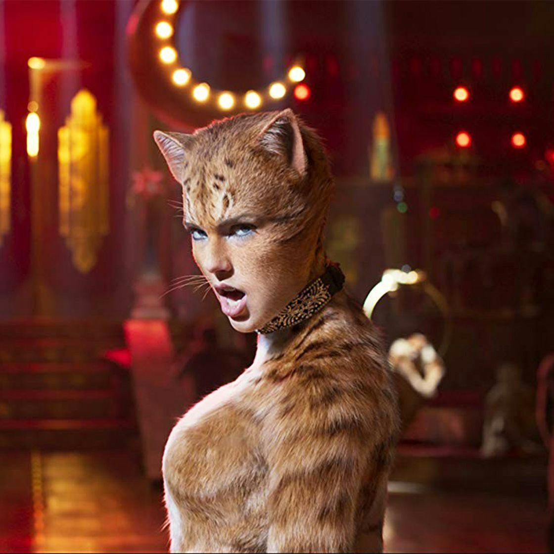 Cats Movie Trailer Internet Reacts With Outpouring Of Cats Memes