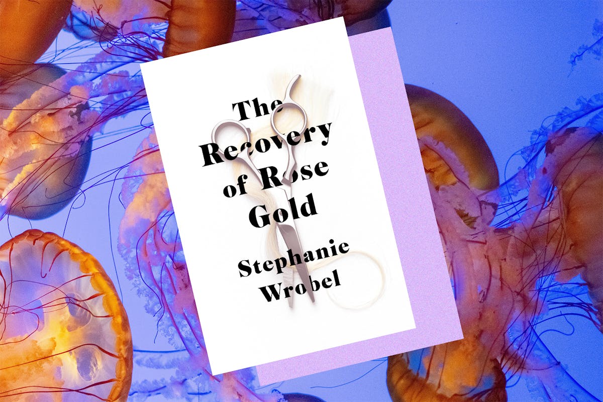 the recovery of rose gold stephanie wrobel