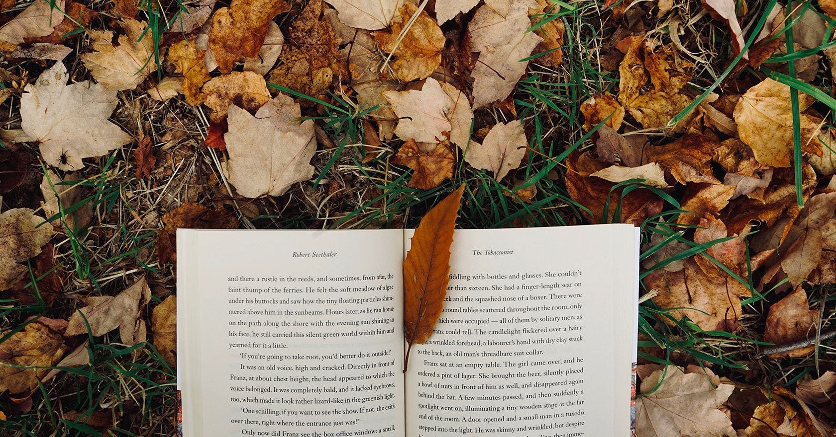 10 beautiful literary quotes to get you excited about autumn