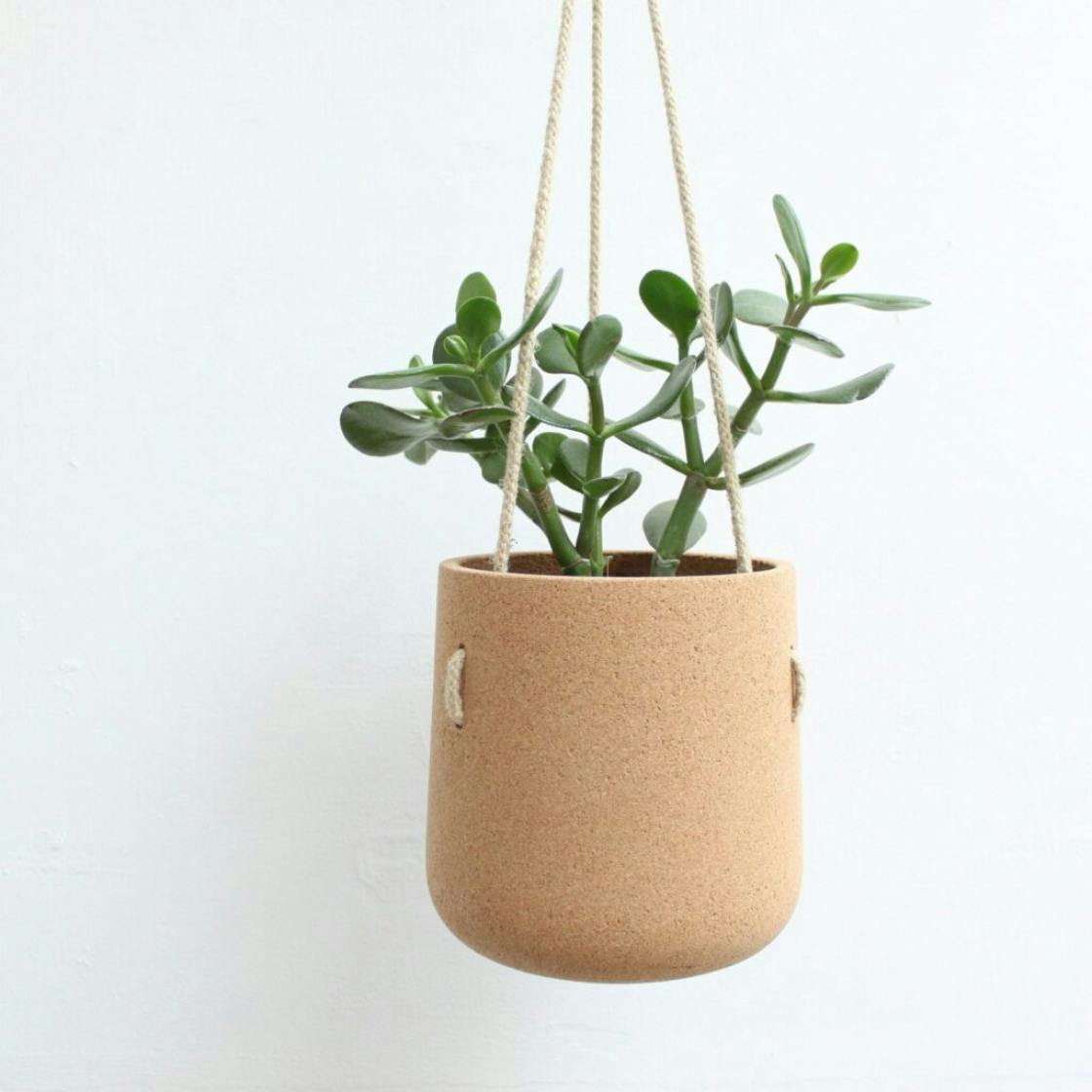 7 hanging plant pots  to give your plants  a stylish edge
