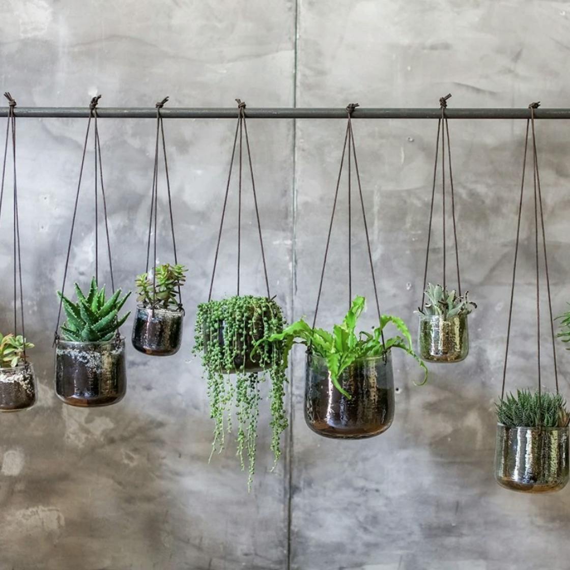 nietig beven lengte 7 hanging plant pots to give your plants a stylish edge
