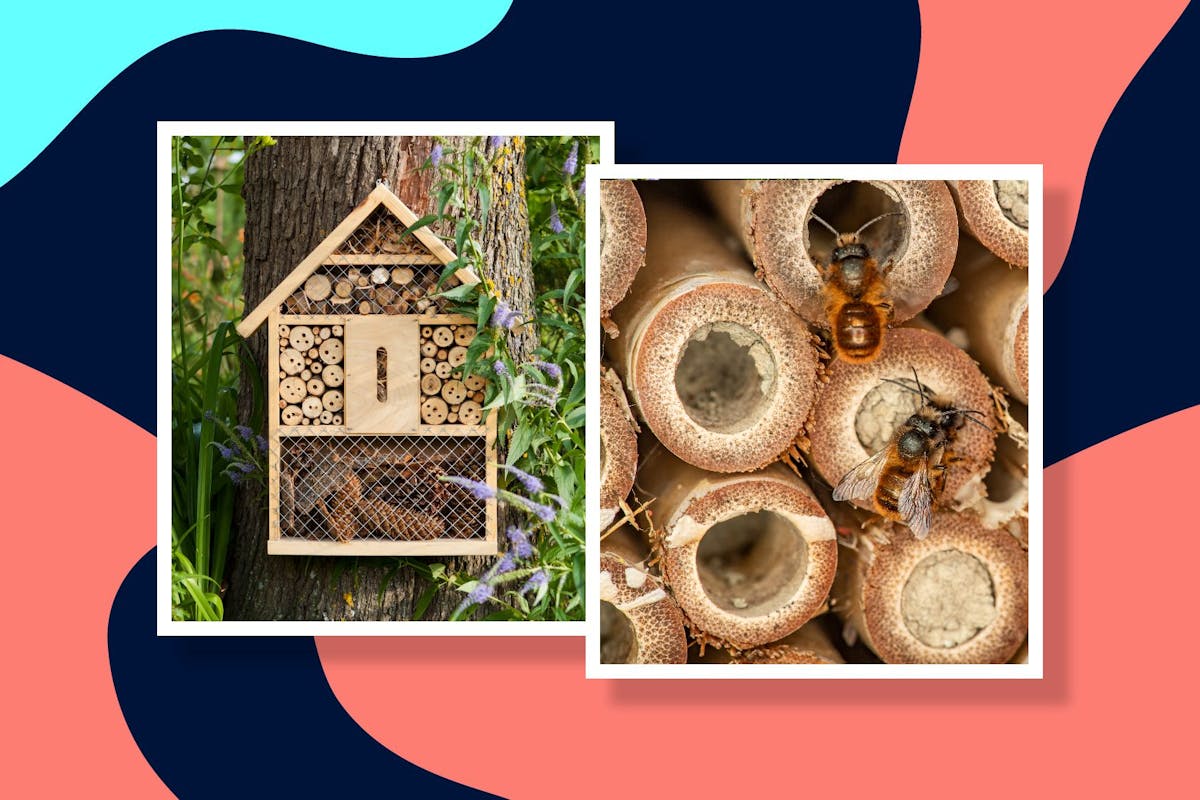 how to make a bee hotel