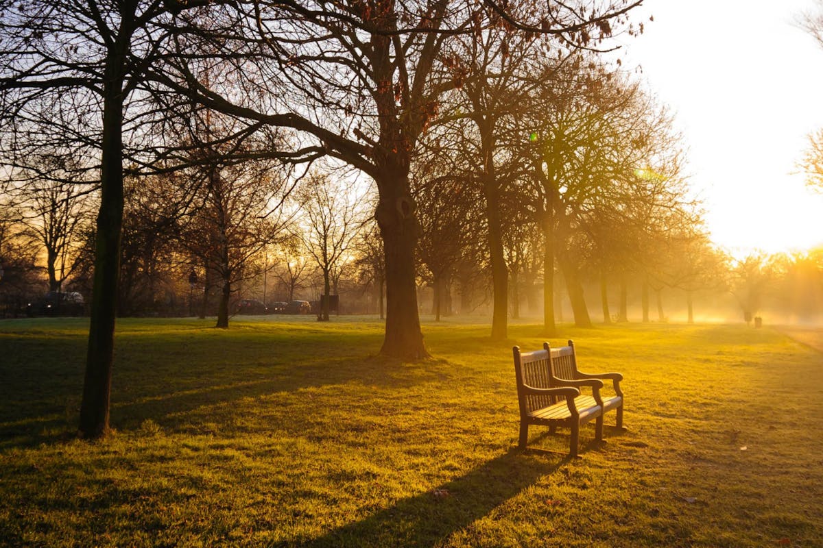 A winter's morning in a park in London