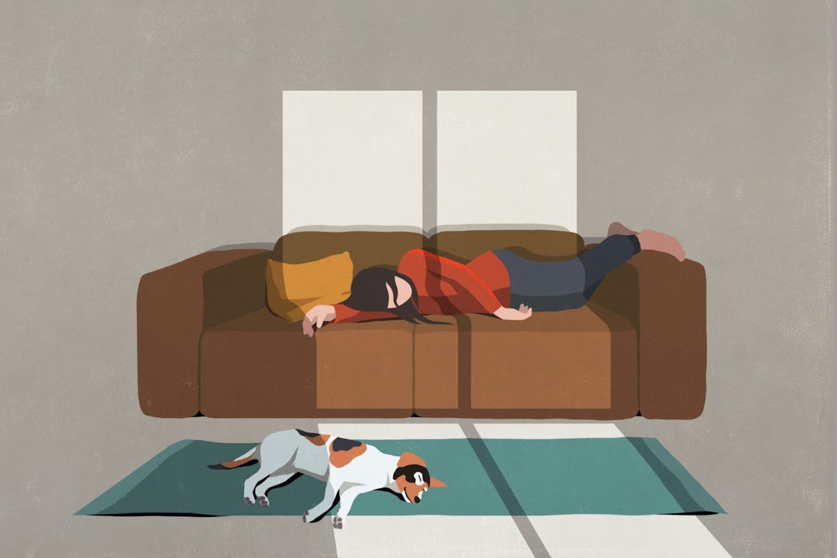 A woman sleeping on the sofa while her dog sleeps on the rug below