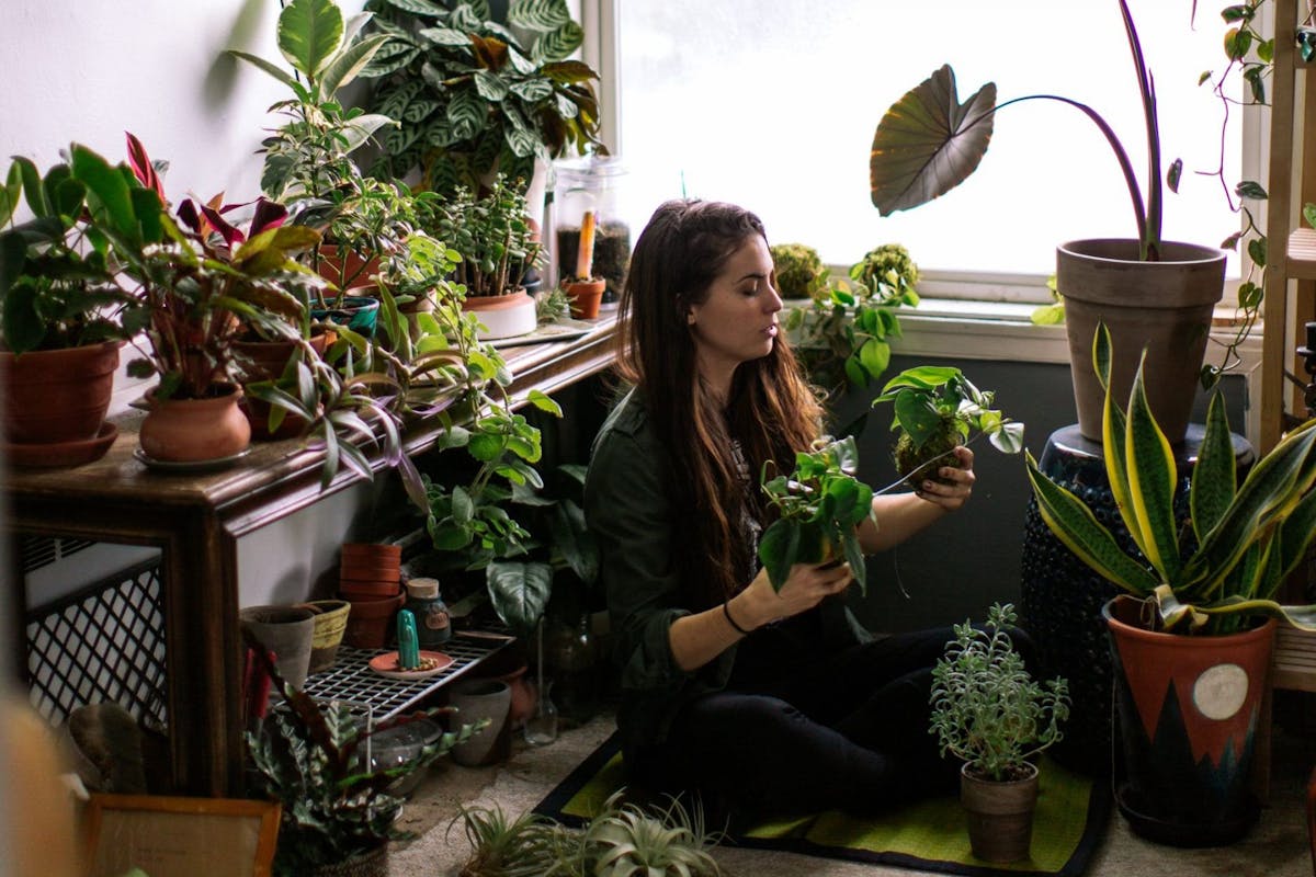 Lifestyle photos of a young adult woman watering her indoor plant garden