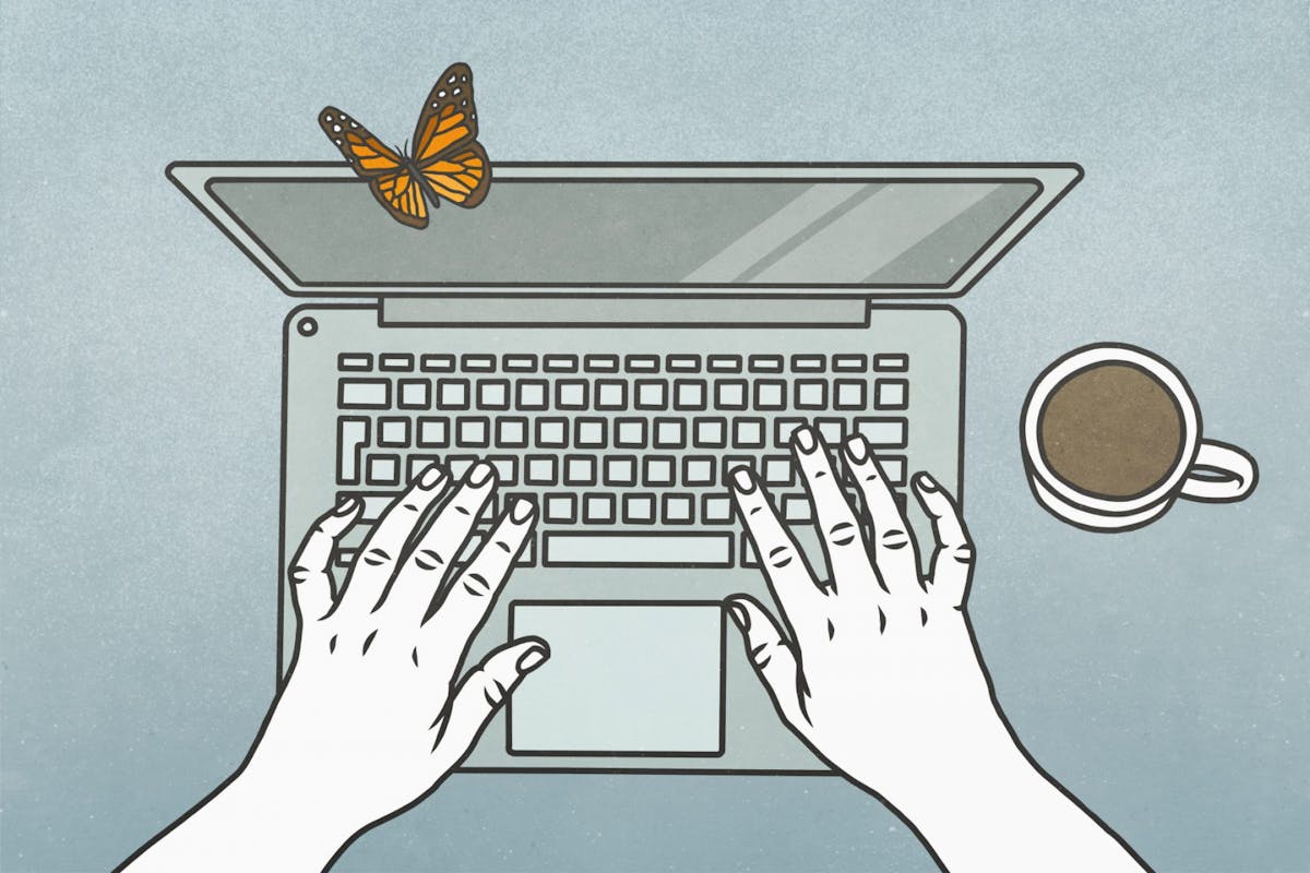 Hands typing on a laptop with a butterfly on top