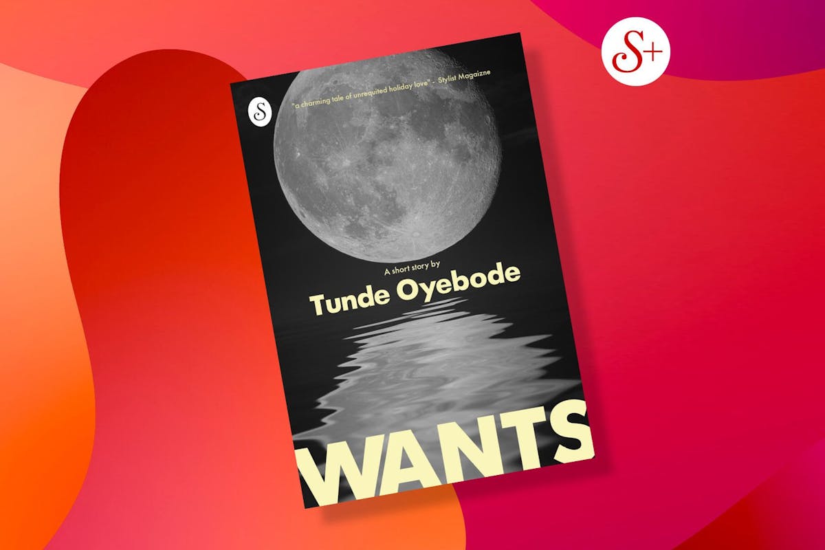 Wants by Tunde Oyebode