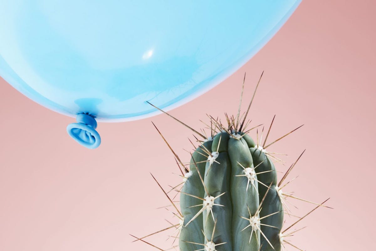 Balloon popped by cactus