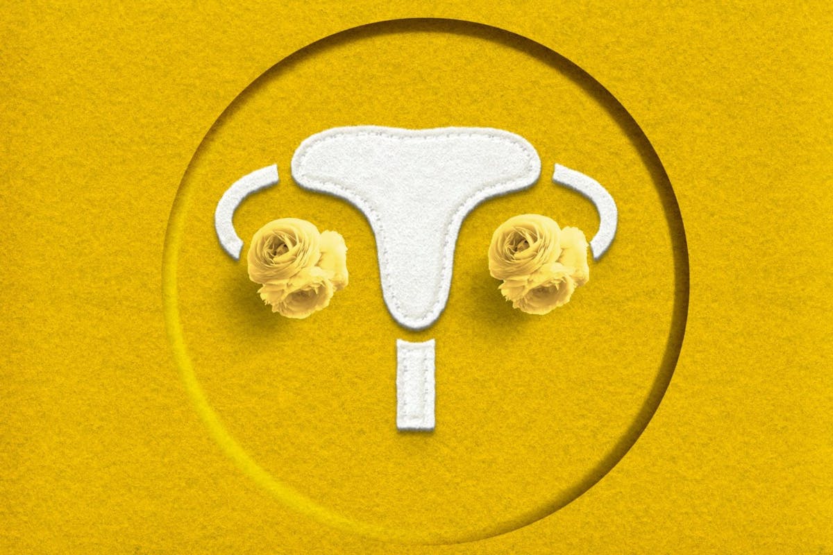 Womb illustration